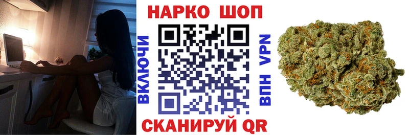 A PVP Стародуб