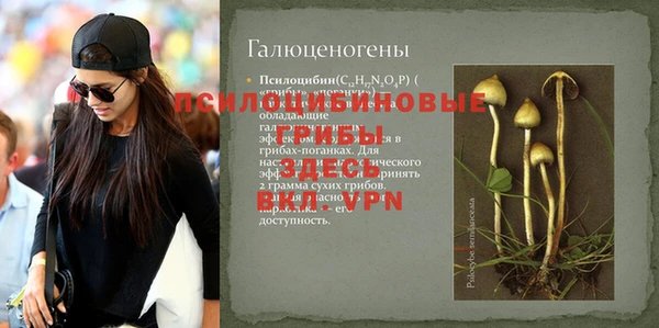 прущие крисы Костерёво