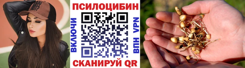 даркнет сайт  Стародуб  Псилоцибиновые грибы Cubensis 